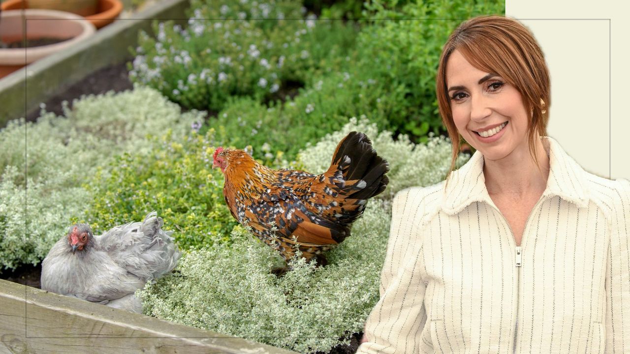 alex-jones-shares-chicken-coop-update-from-cluckingham-palace-it-s