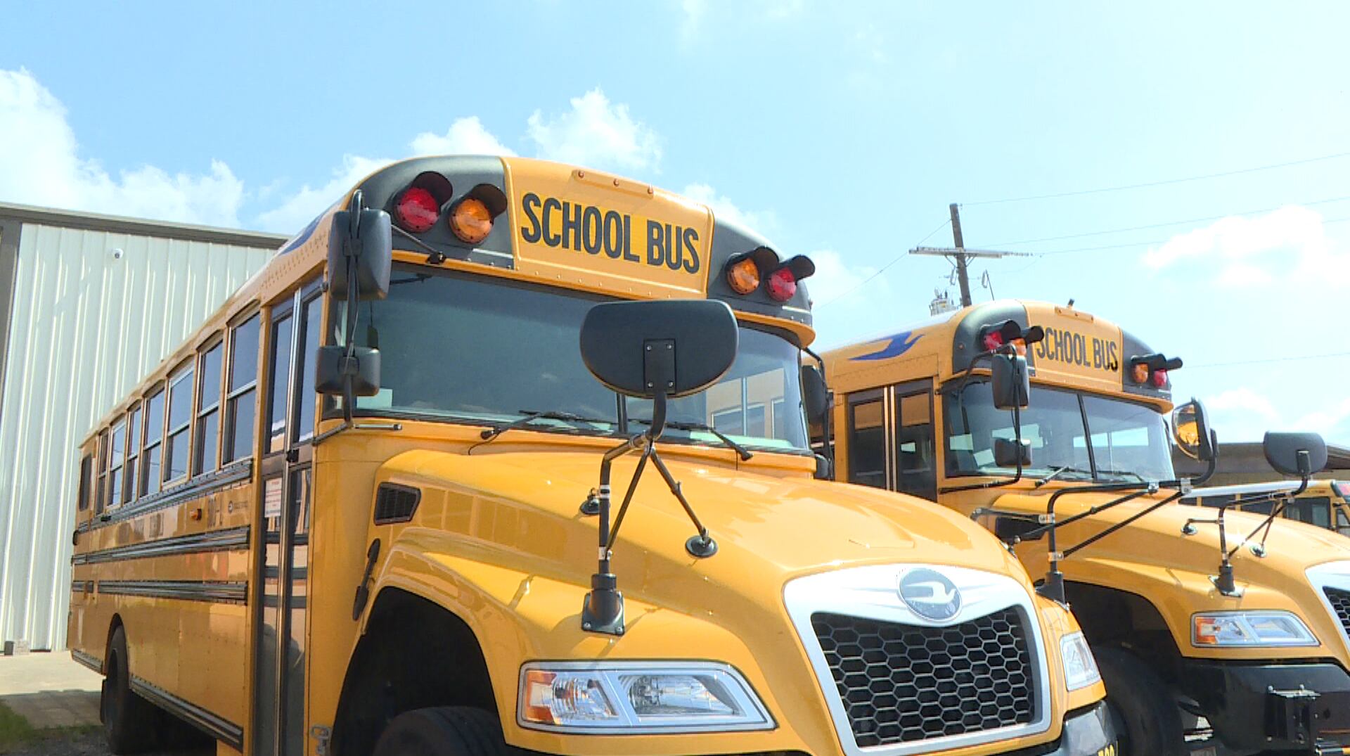 school-bus-safety-what-drivers-students-and-parents-need-to-know