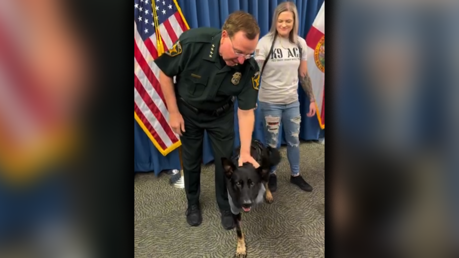 Polk K-9 Ace excitedly greets Sheriff Judd after being shot while protecting deputies