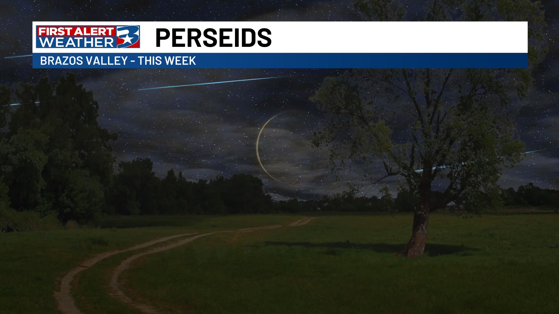 Look up! Great viewing for Perseid meteor shower this week