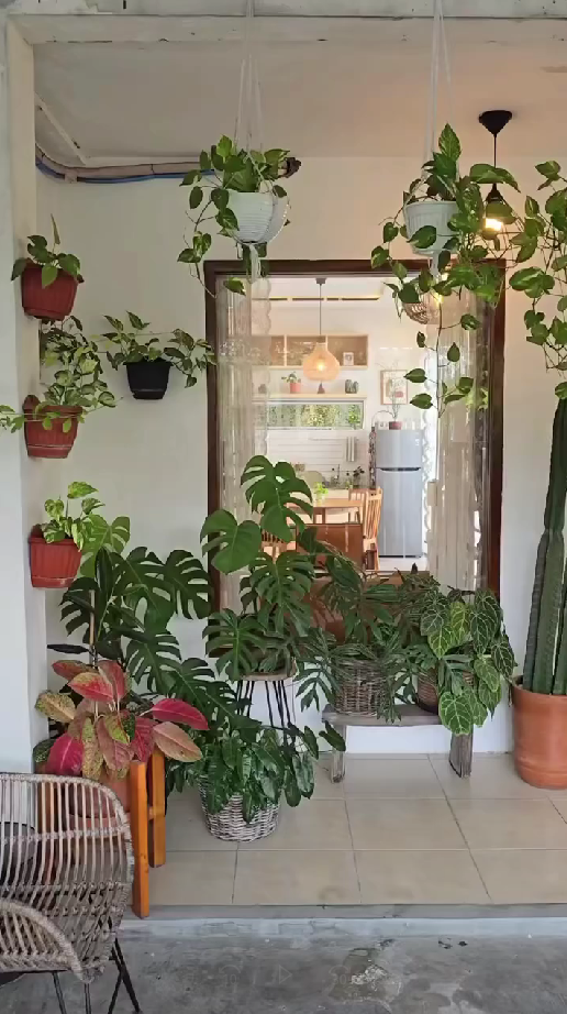The timeless beauty of plants in modern home interiors