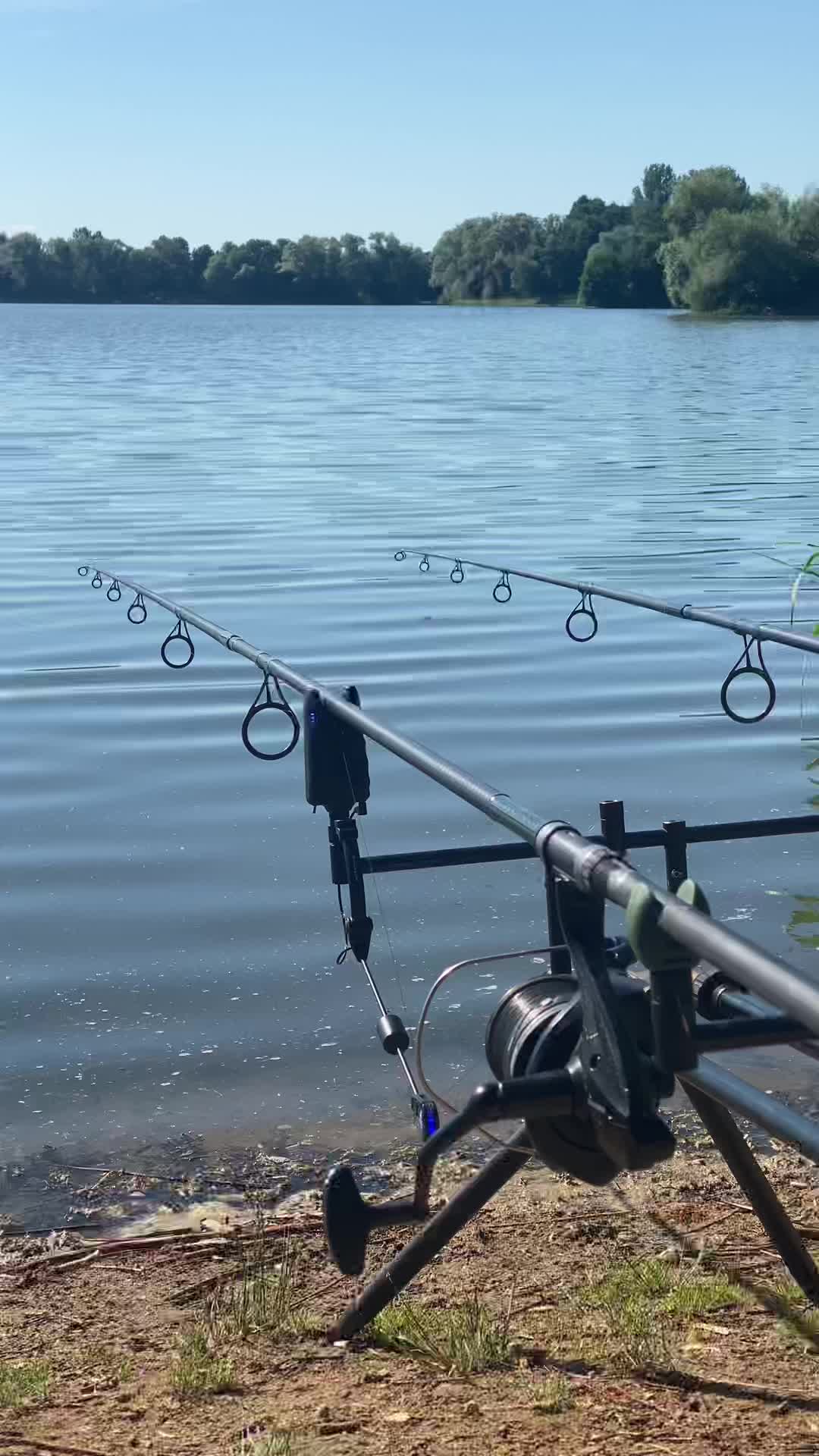 The basics of a successful carp rig setup