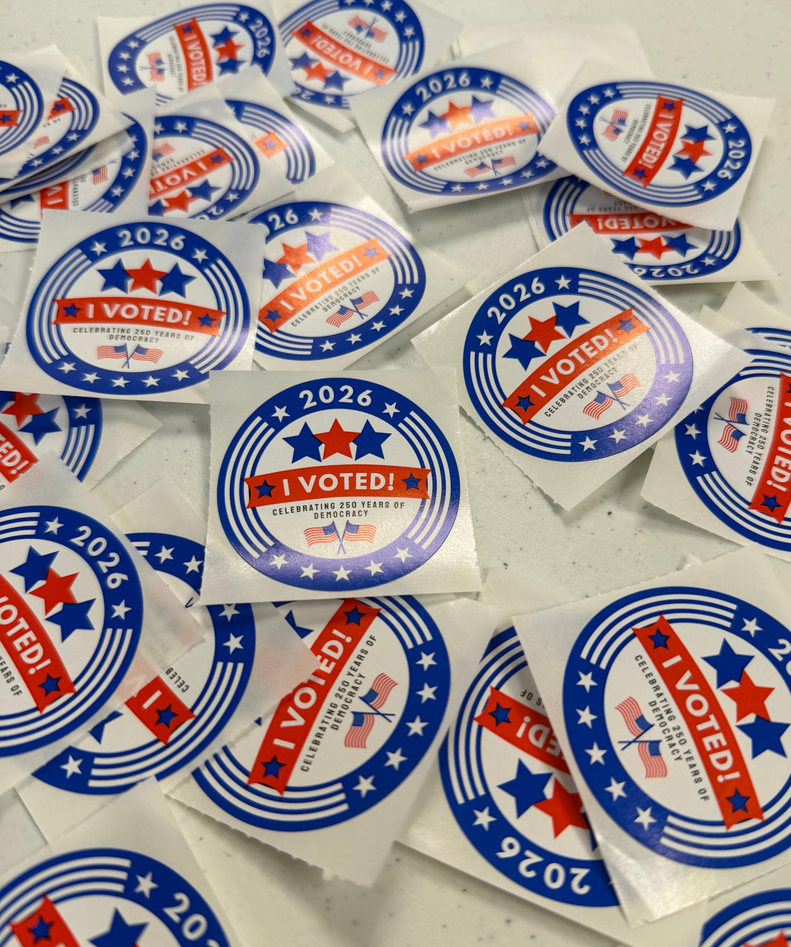 Who won primary elections in St. Cloud for MN House, Senate, council