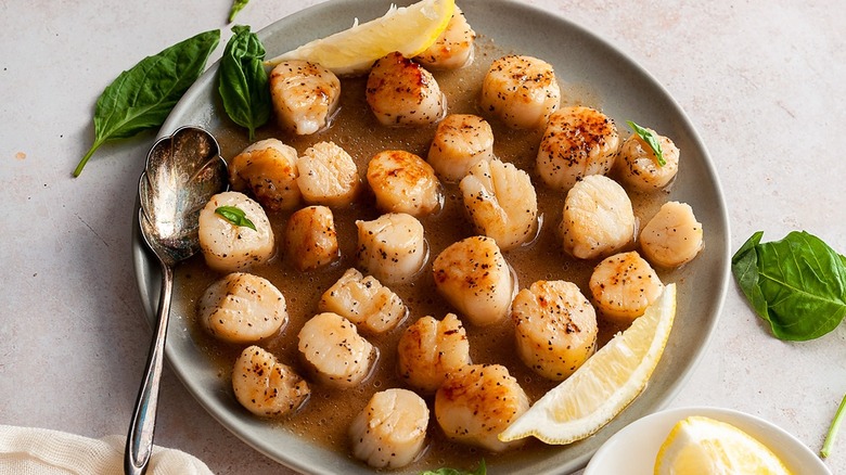 Seared scallops recipe