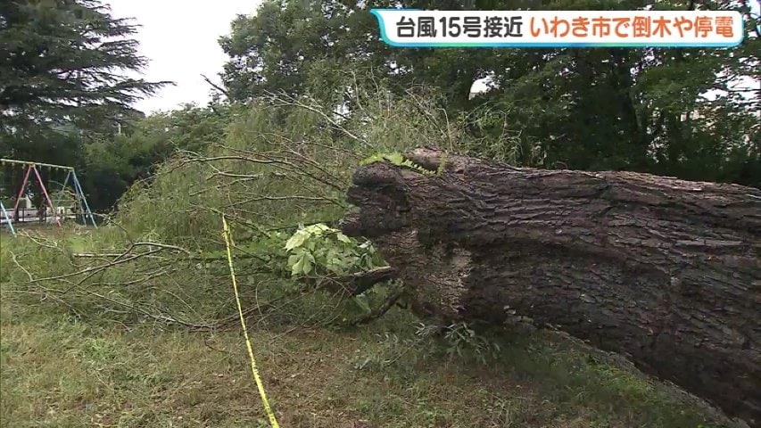 最大瞬間風速25.8メートル、台風15号の強風 いわき市で倒木や停電3400戸 福島