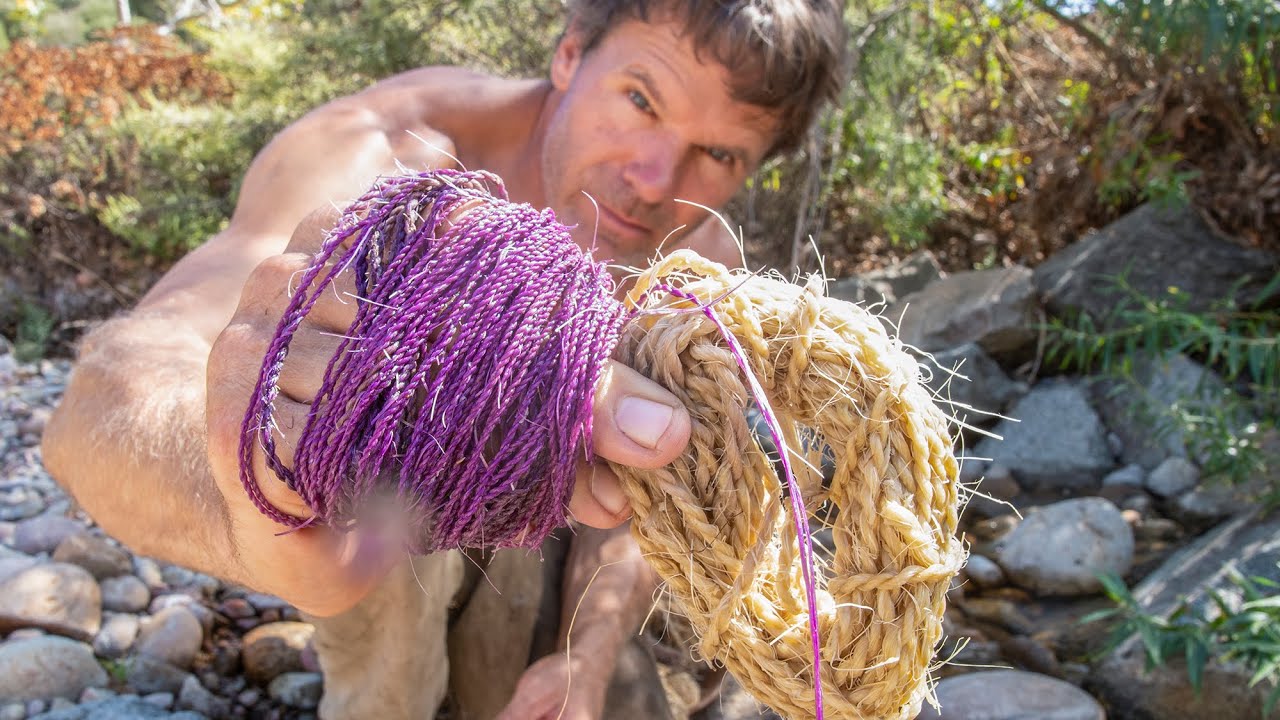Primitive dyes for cordage: Purple and tan experiment