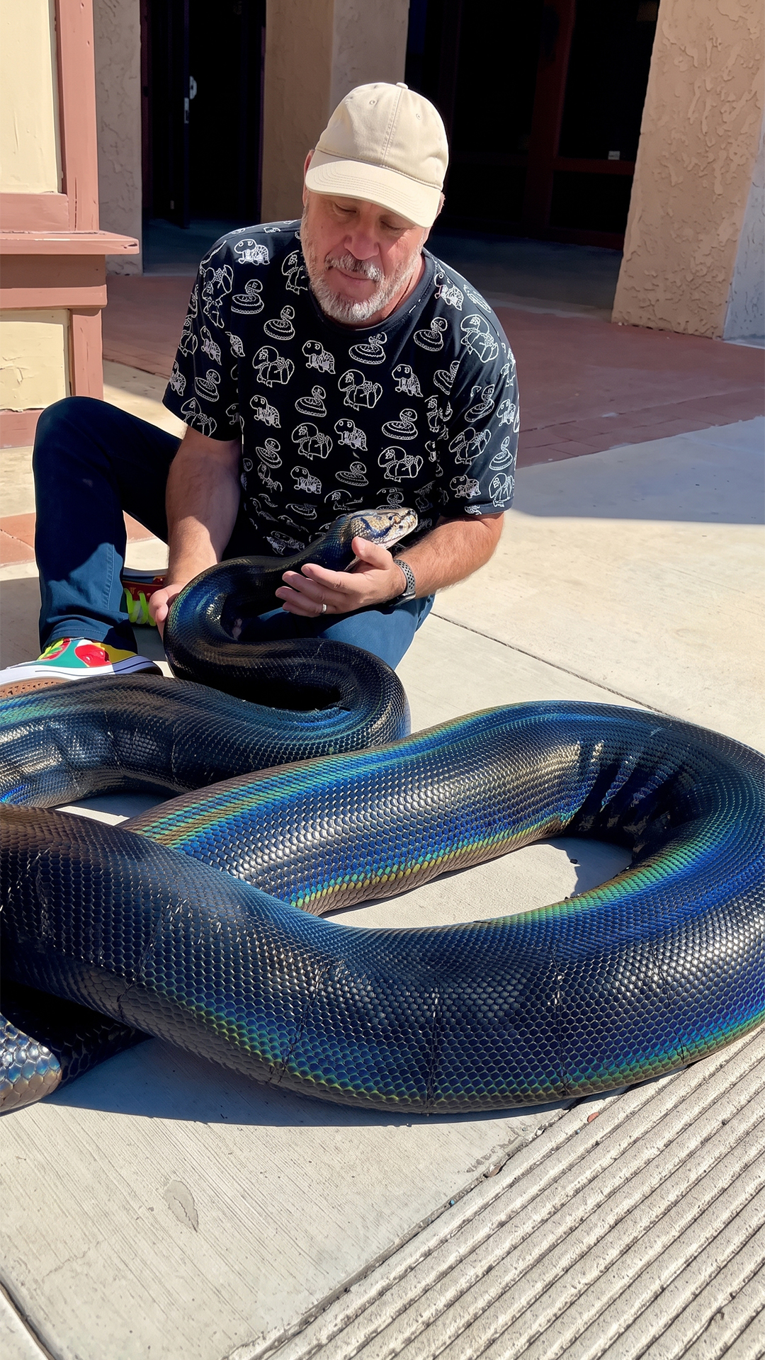 This rainbow reticulated python shines with stunning natural colors