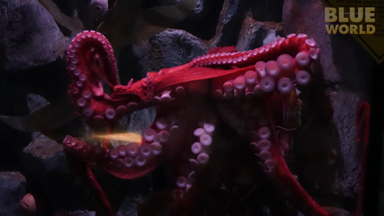 Inside one of the world's largest freshwater collections, they found ...