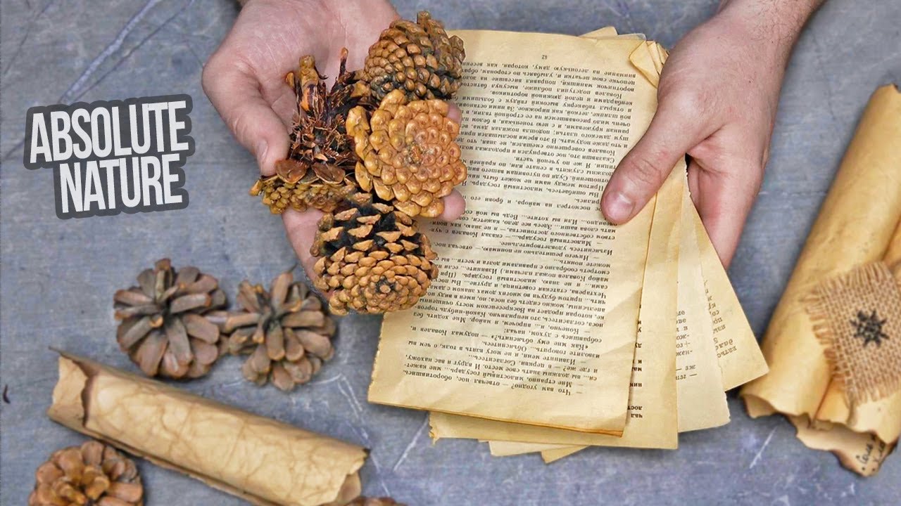 Transform old book pages and pine cones into stunning decor