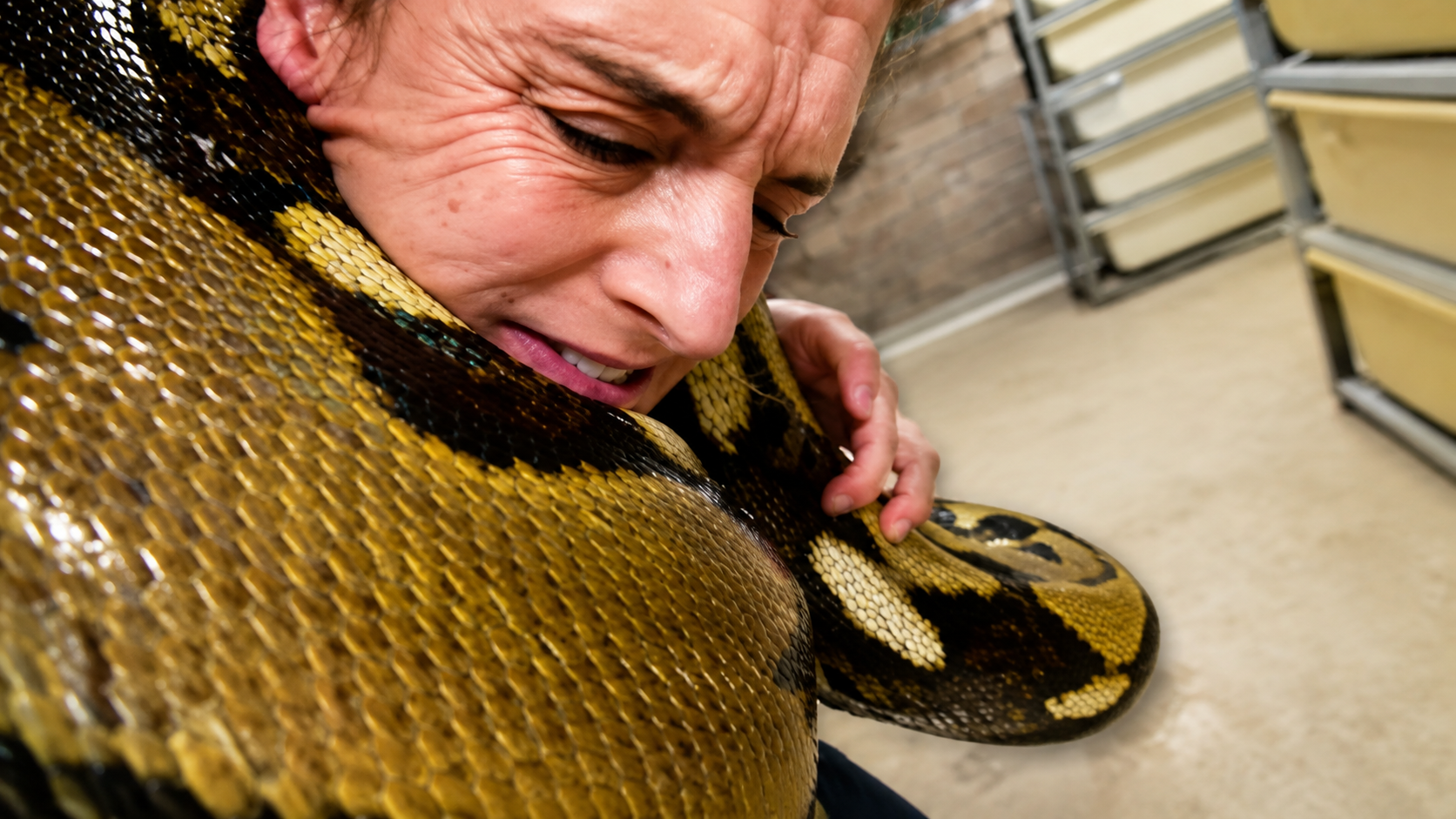 She's hanging on tight... a 20-foot snake wrapped tightly around her neck