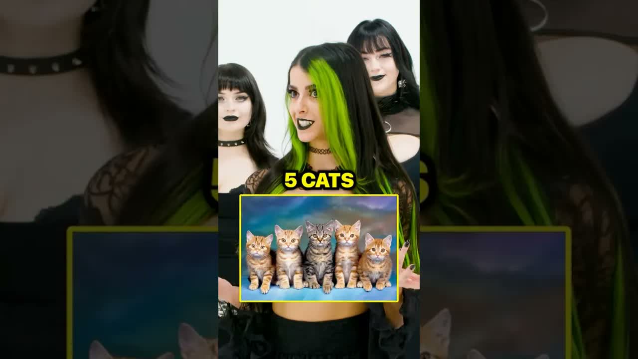 This date gets super weird when five cats enter the conversation