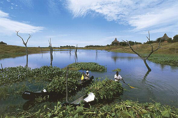 Canoes on Lake Kariba