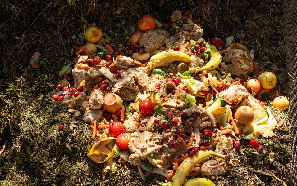 unusual-composting-tips-gain-traction-with-eco-minded-gardeners