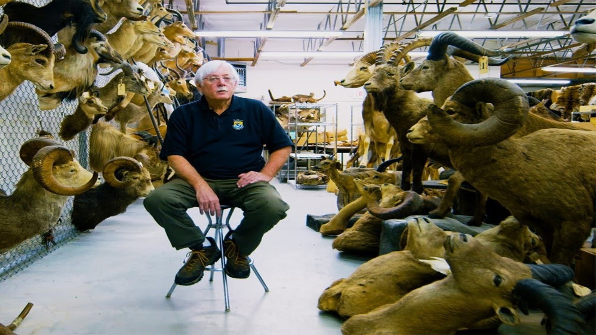 Inside the world’s only wildlife crime laboratory