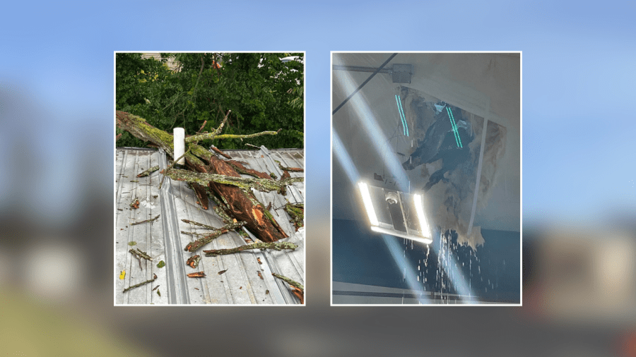 Storm sends tree through new Kentucky fire station as dozens take ...