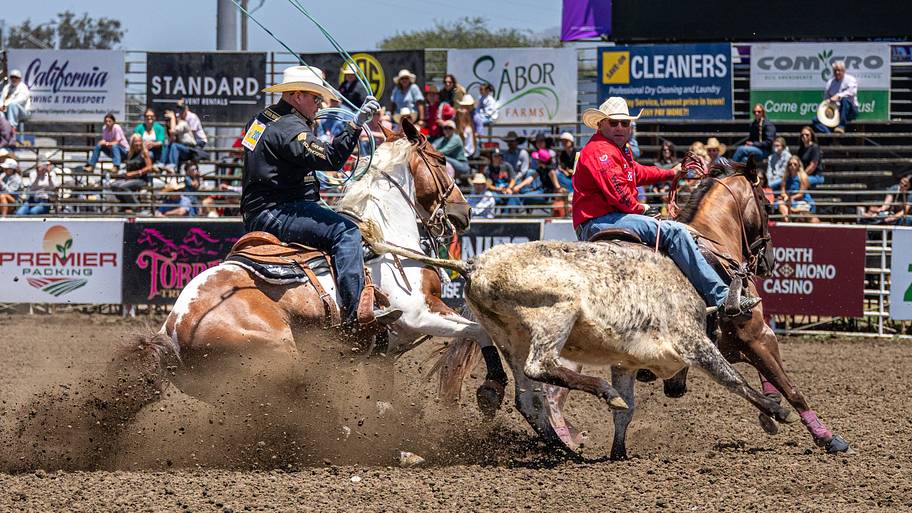 $75,000 standalone team roping event brings new hope and pressure to NFR race