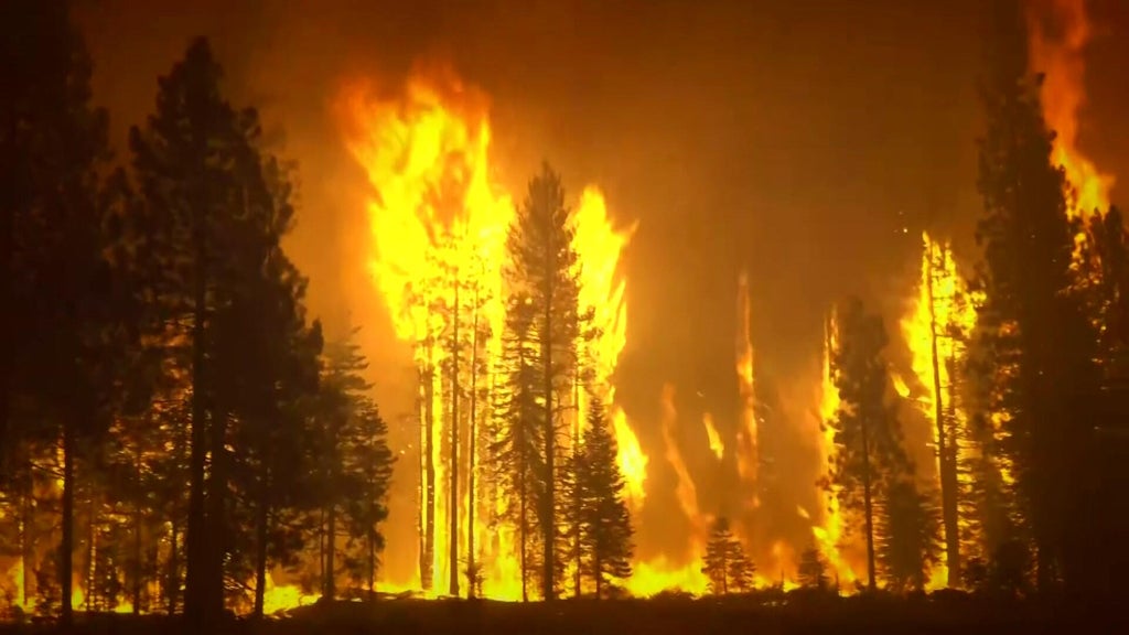 California lawmakers call for crackdown on wildfire betting on some prediction markets