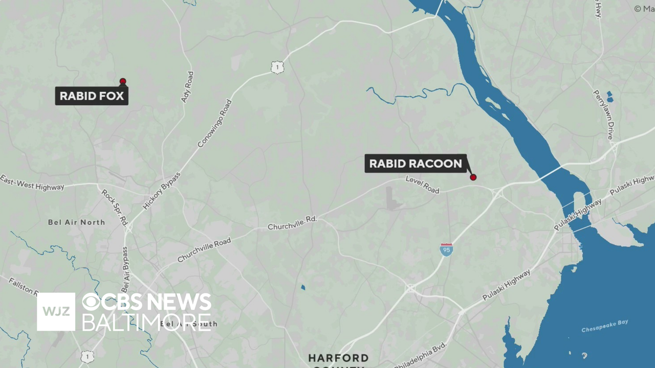 Multiple animals in Maryland test positive for rabies