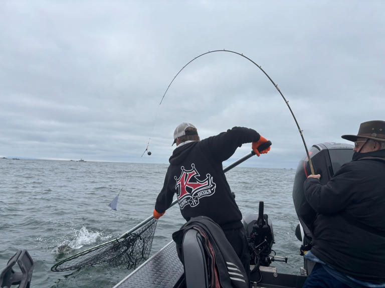 Hatchery coho quota nearly exhausted, triggering Oregon coast closure
