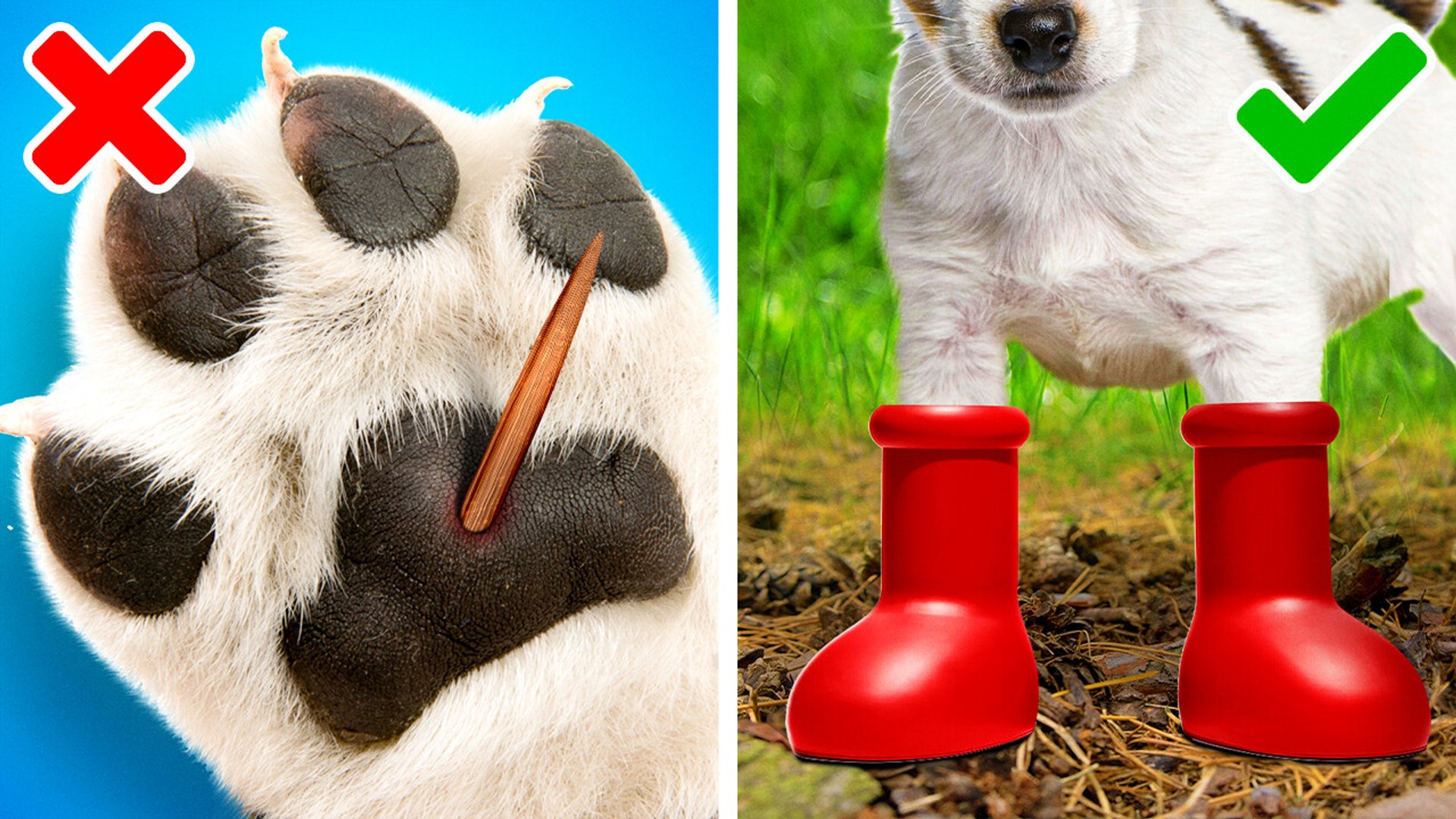 Gadgets cool pour animaux de compagnie et astuces géniales pour vos ...