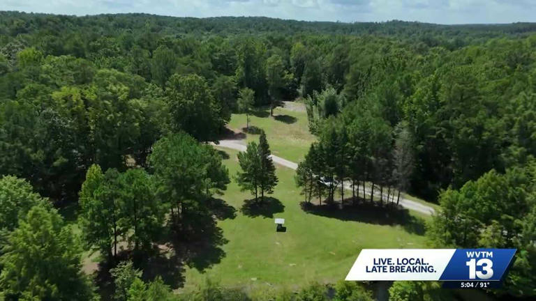 Alabama Power gets go-ahead to resume work on disputed transmission line