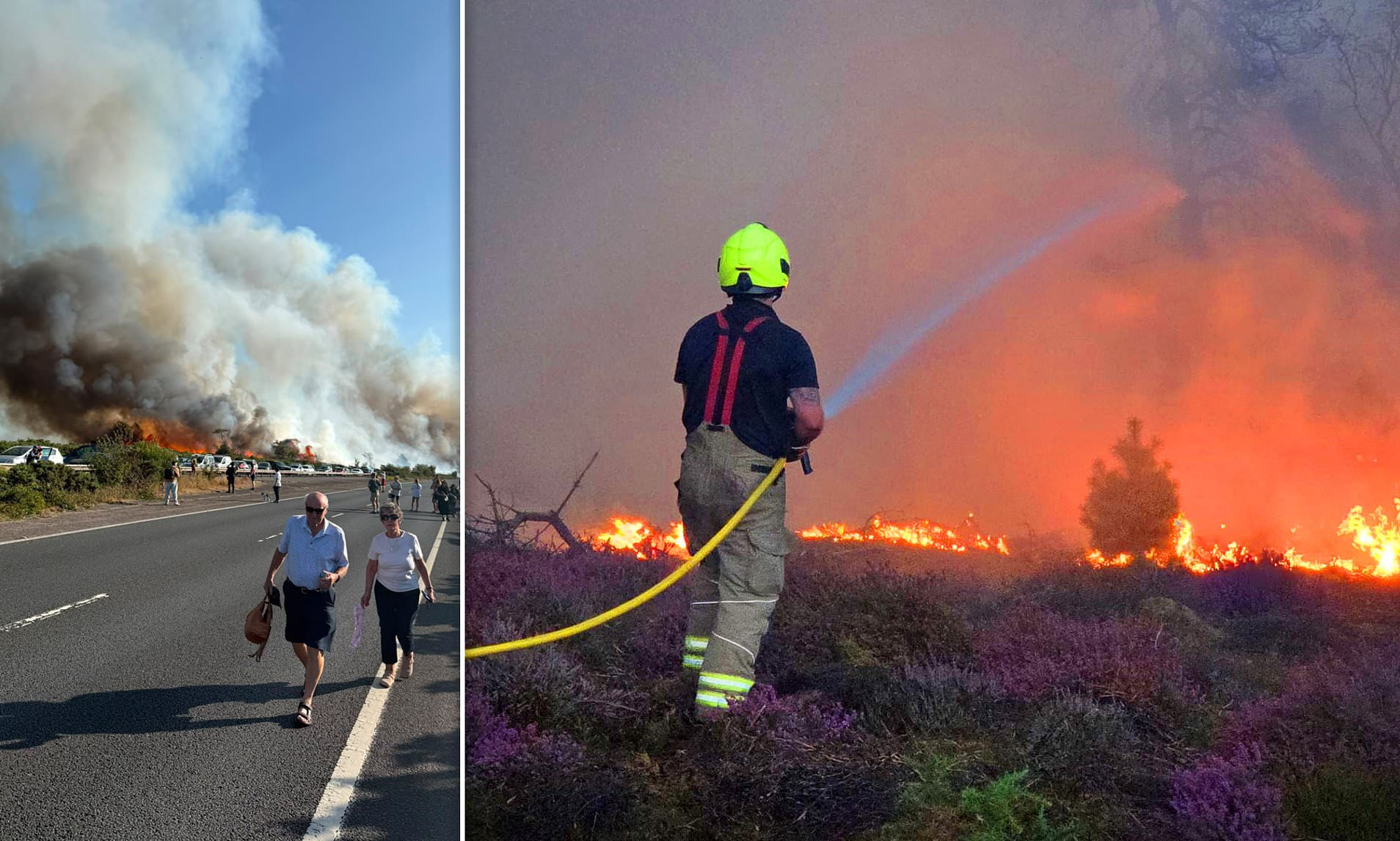 Labour's eco-dogma blamed for turning country into a tinderbox after 1,017 wildfires in 2026 alone