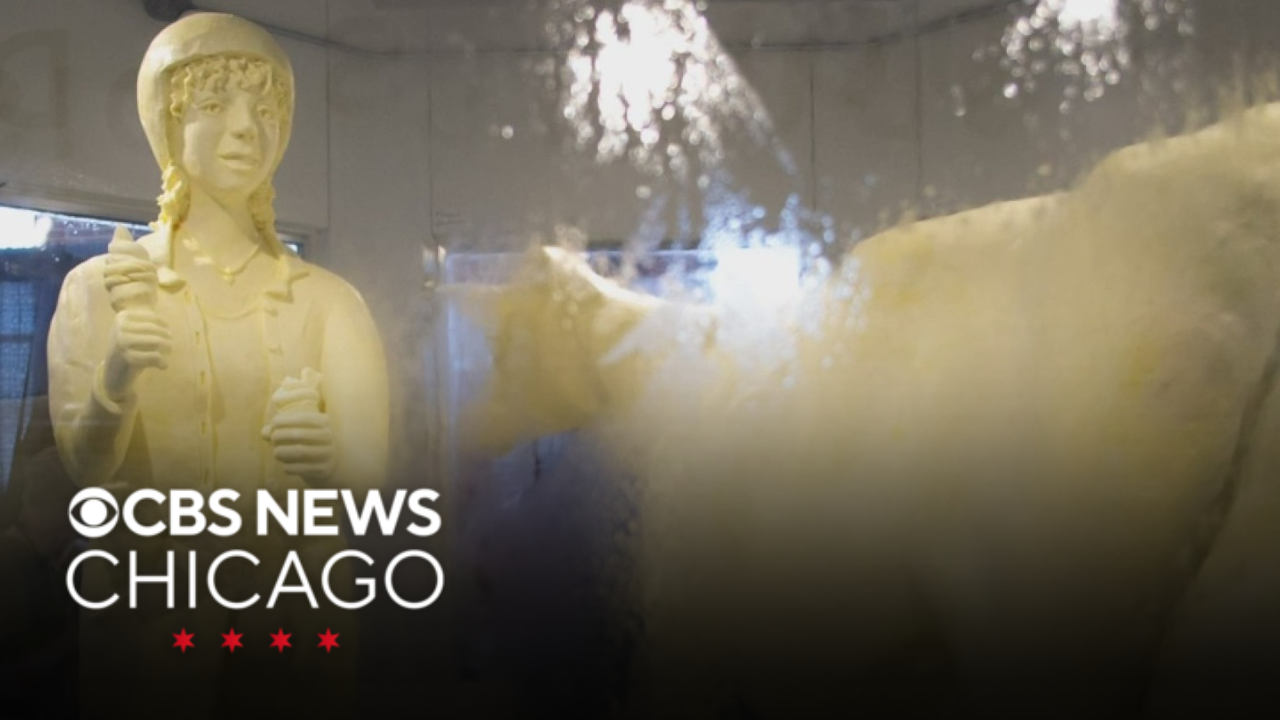 2026 Illinois State Fair butter cow revealed