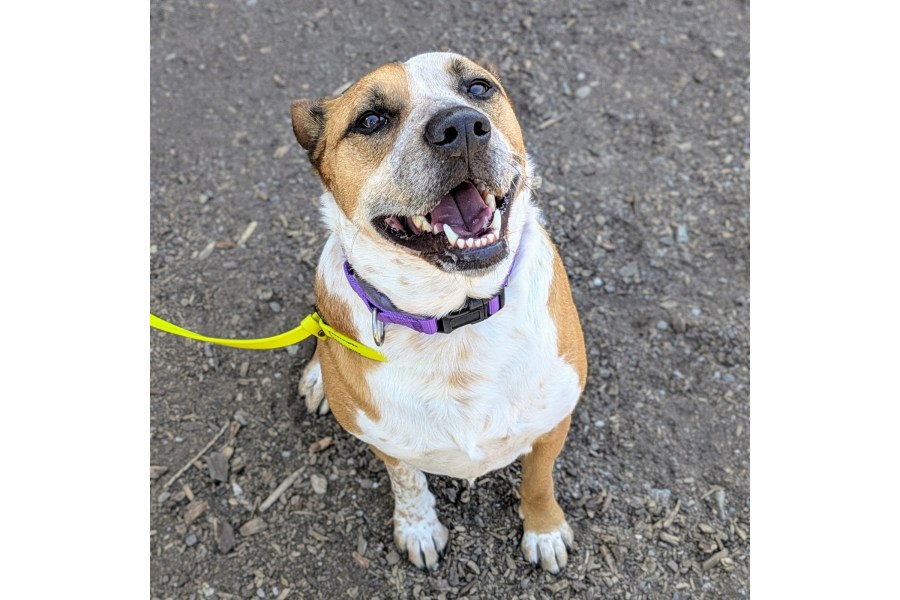 https://img-s-msn-com.akamaized.net/tenant/amp/entityid/AA29a5Mj.img?w=768&h=512&m=4&q=88