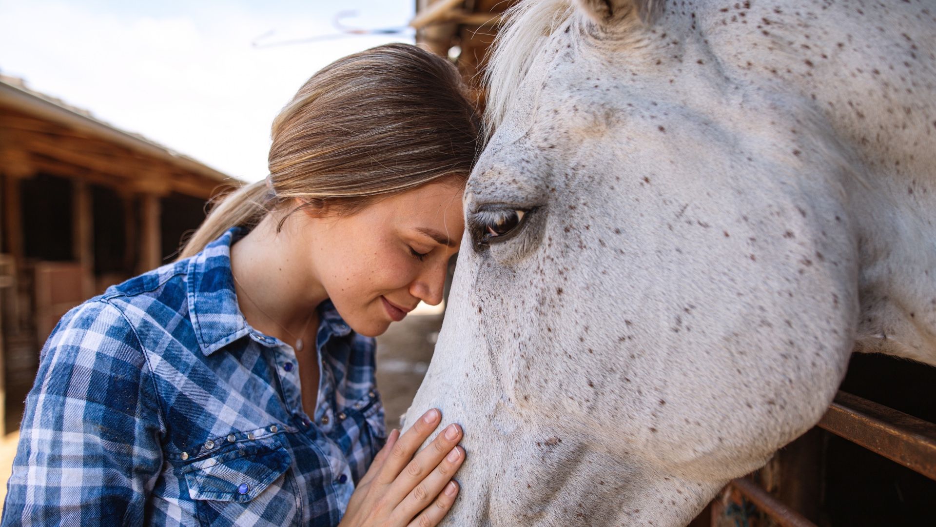 The best emotional support animal breeds