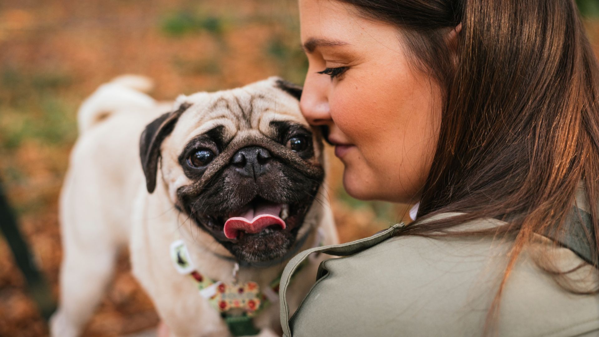 Wrinkly dog breeds