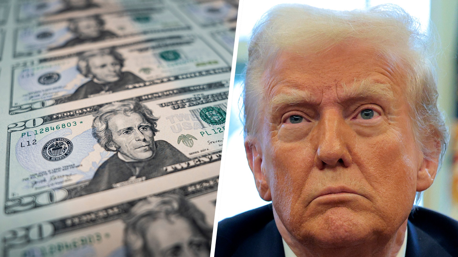Trump's policies being compared to socialism due to government intervention
