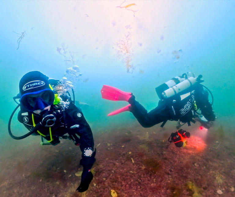 Scientist's lifelong obsession with mystery of elusive 'pink zebra' seaweed