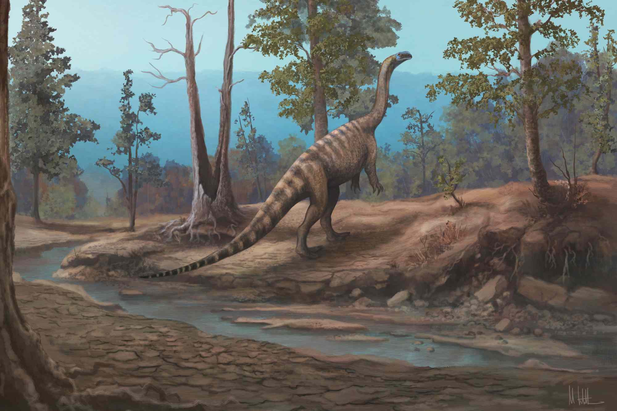 Scientists discover new 210-million-year-old dinosaur species in Zimbabwe