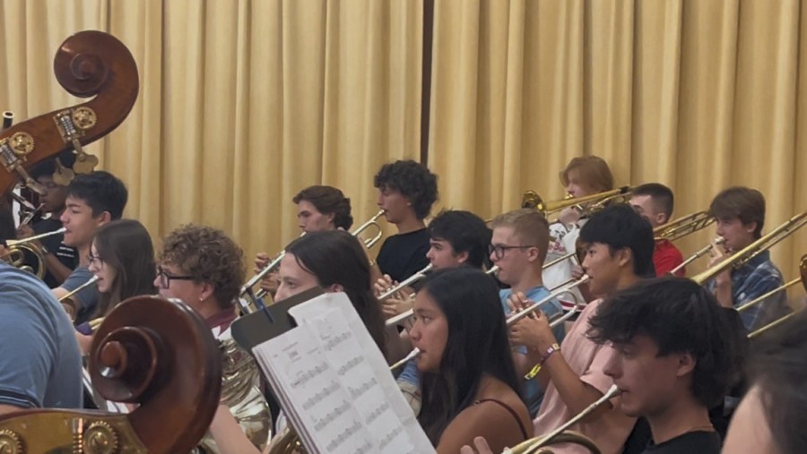 Chicago Youth Symphony Orchestra ready to take Lollapalooza's big stage