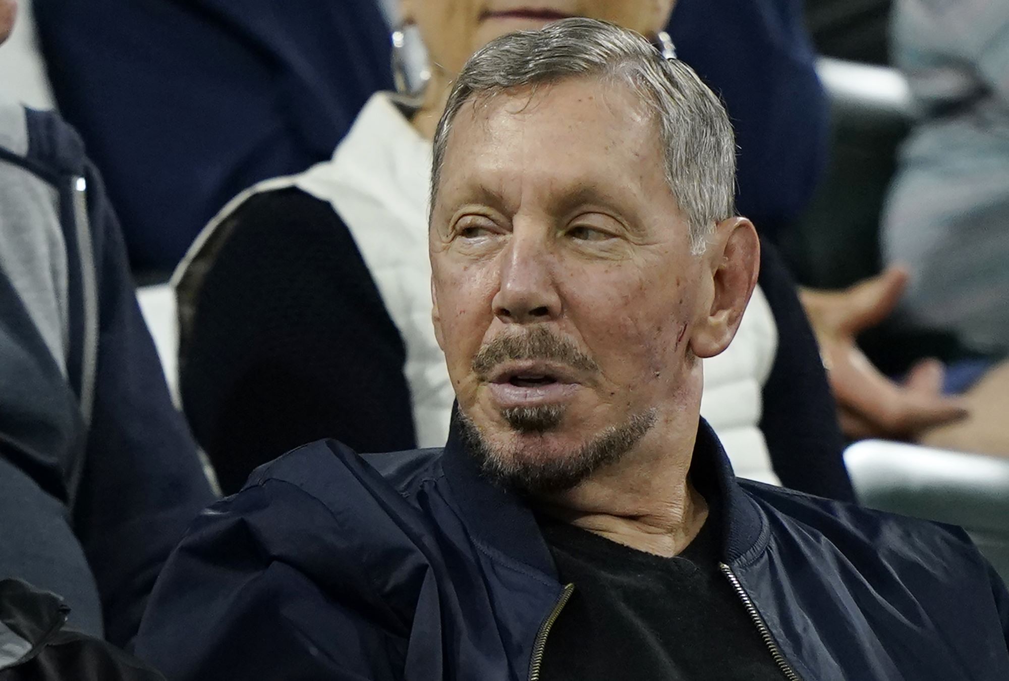 Larry Ellison risks being 'cautionary tale' of AI