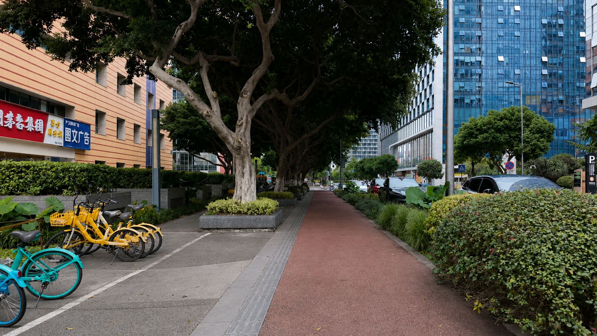 Large canopy trees create stunning streetscape among contemporary ...