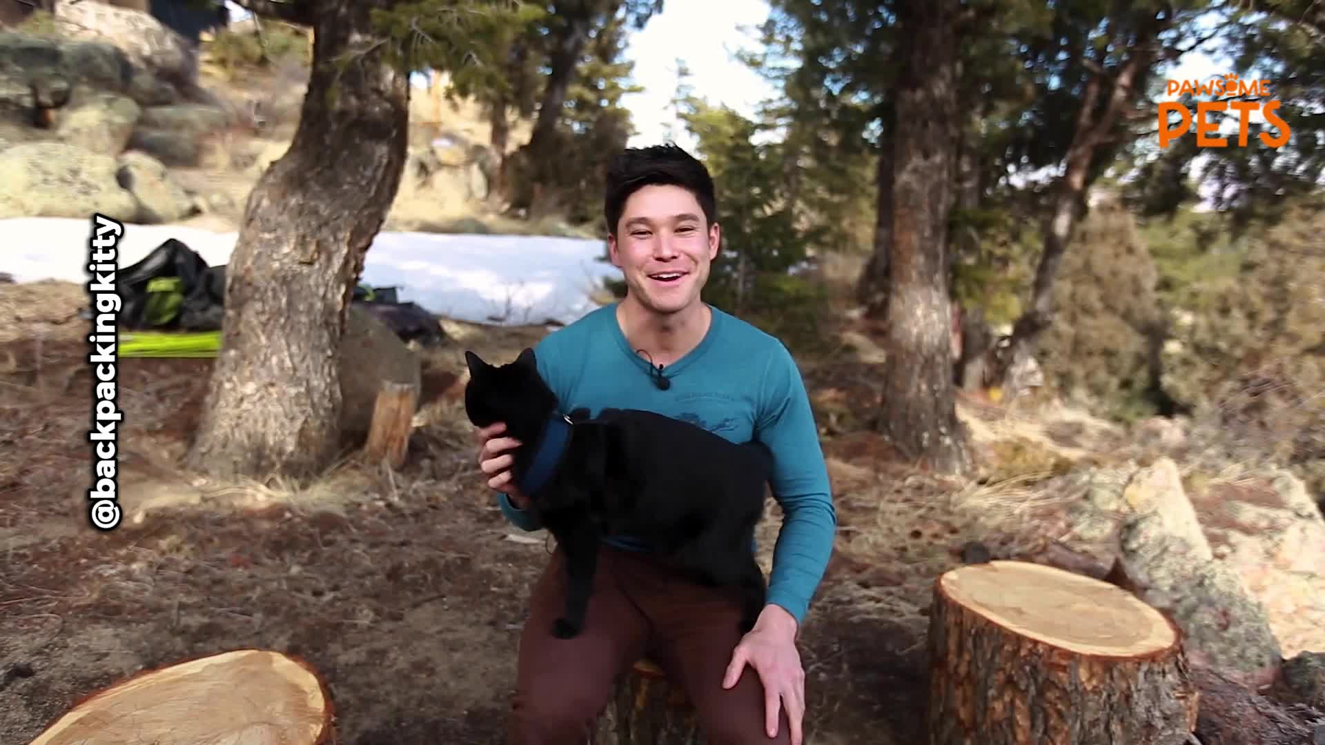 Man shares his secrets to hiking safely with a cat