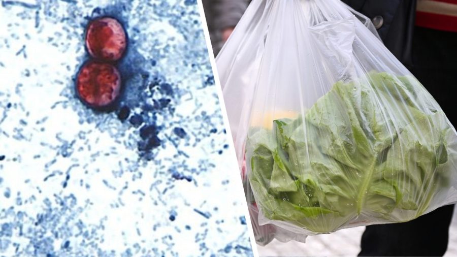 Doctor warns against 'cyclospora skinny' trend