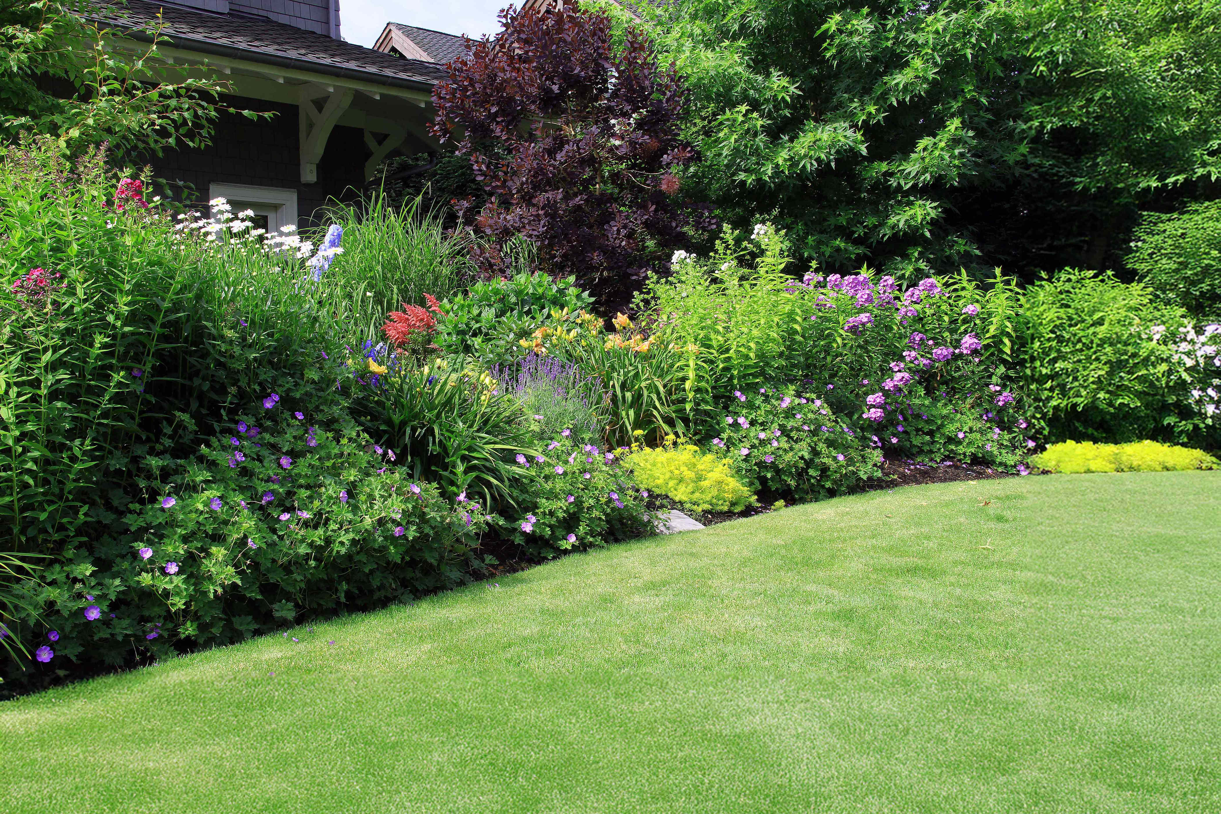 6 essential lawn care tasks to complete before August ends