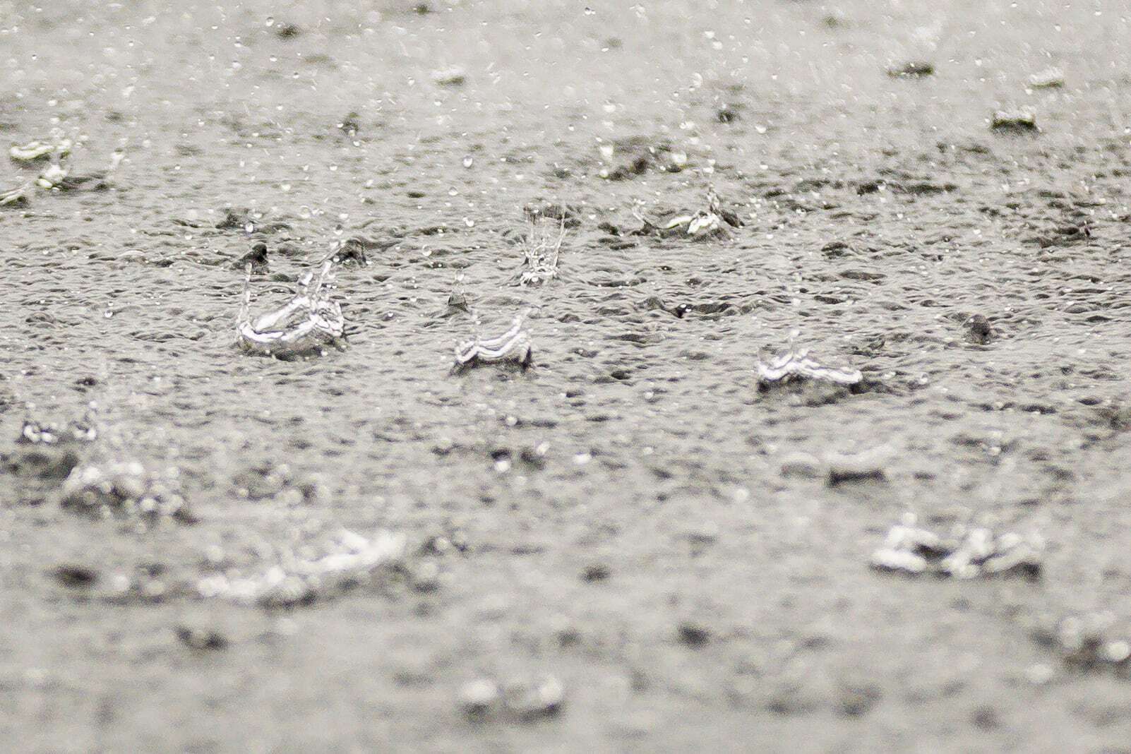 July's weather set records in Pa. Here's how August will start
