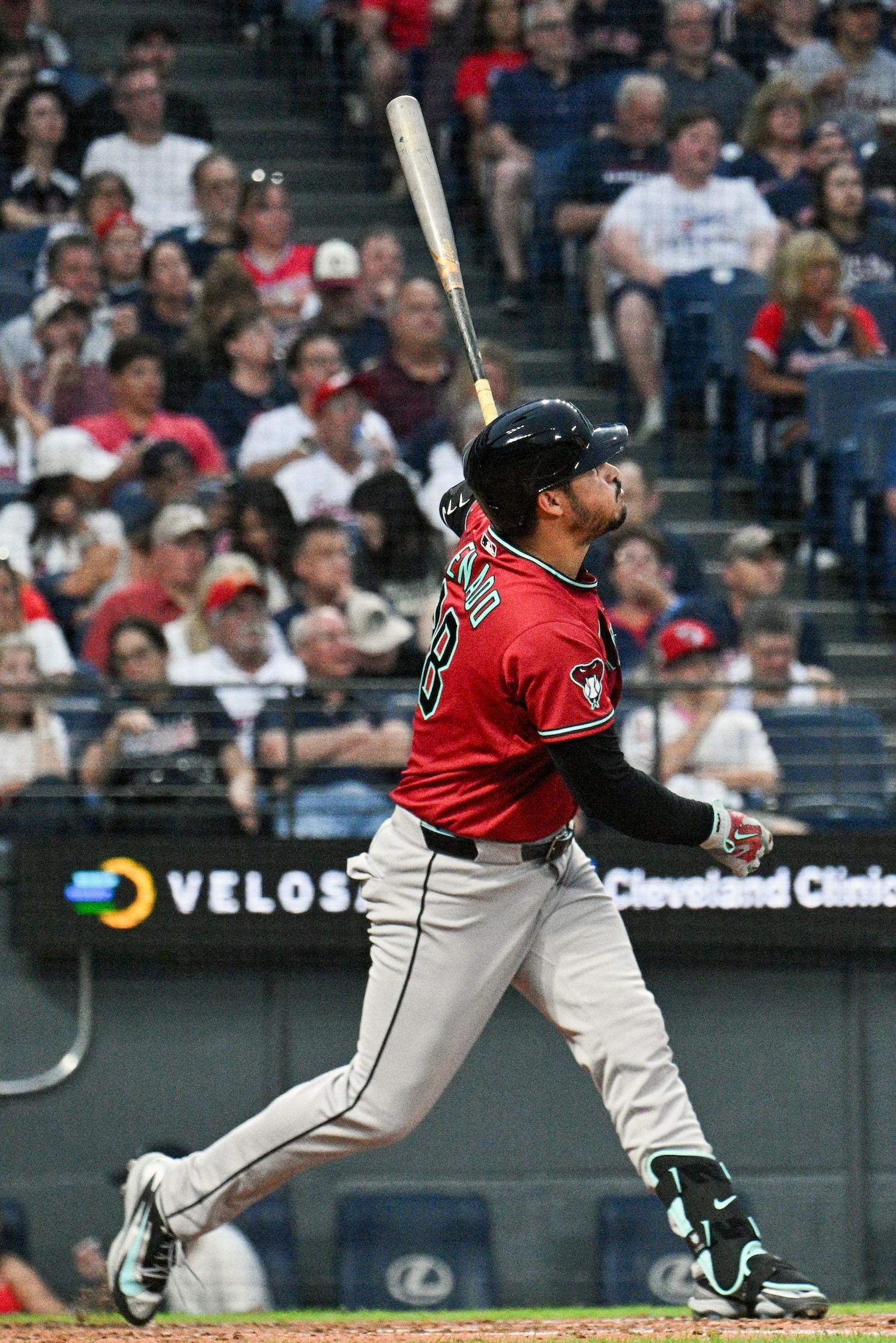 Snake bytes 8/1: Making the case to buy