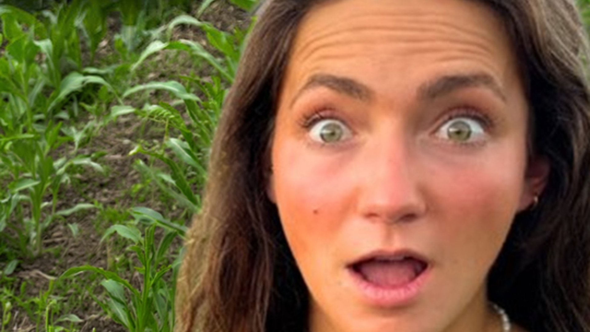 Laura Farms: New tractor surprises on the farm