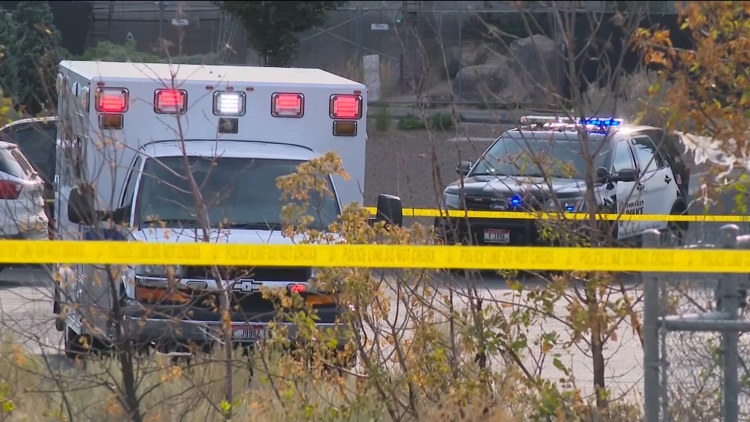 'Shooting at random': Witness saw Twin Falls In-N-Out shooter firing into traffic and drive-thru window