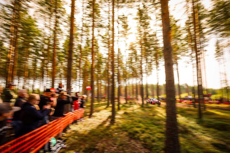 wrc-finlandia-pajari-cierra-el-s-bado-l-der-tras-un-duro-accidente-de
