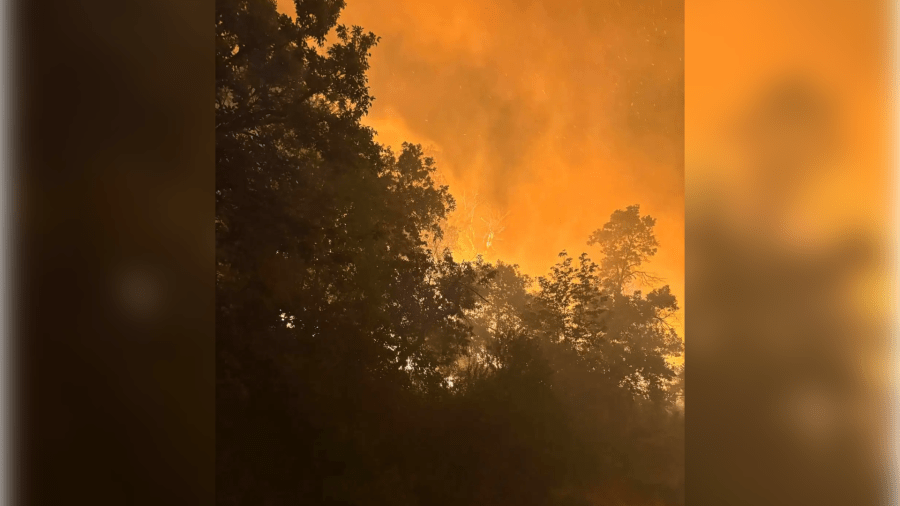 Watch: Logan fire footage released, witness speaks