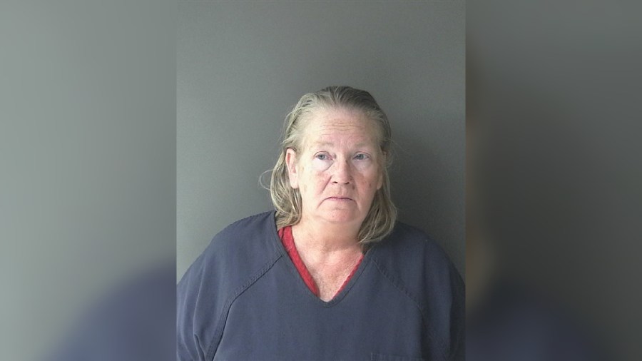 Law enforcement finds multiple dogs dead inside Clinton County home; woman arrested