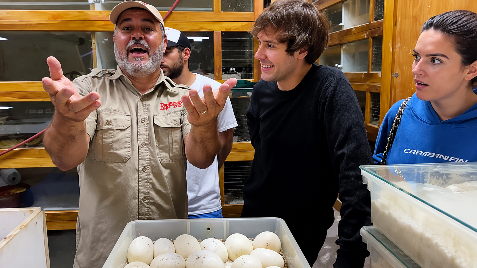 Handling a rare snake clutch reveals the challenges of breeding reptiles