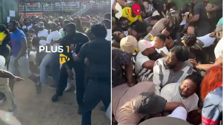 The crowd crush happened after a small fire broke out, police told Metro (Picture: Plus 1 TV)