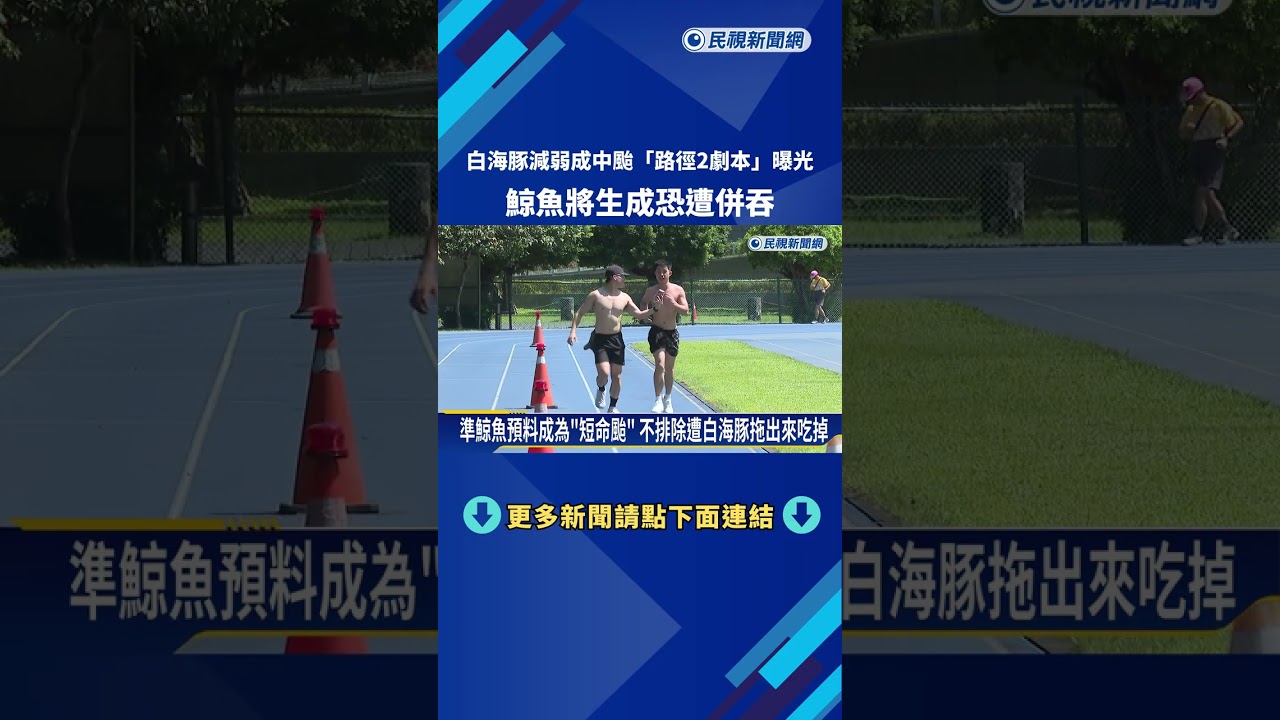 白海豚減弱成中颱