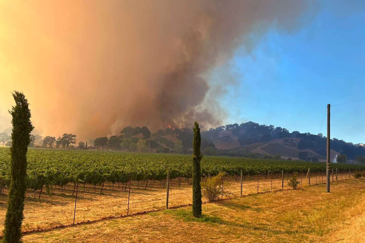 Fast-moving Feliz fire in Mendocino County forces evacuations, closes highway